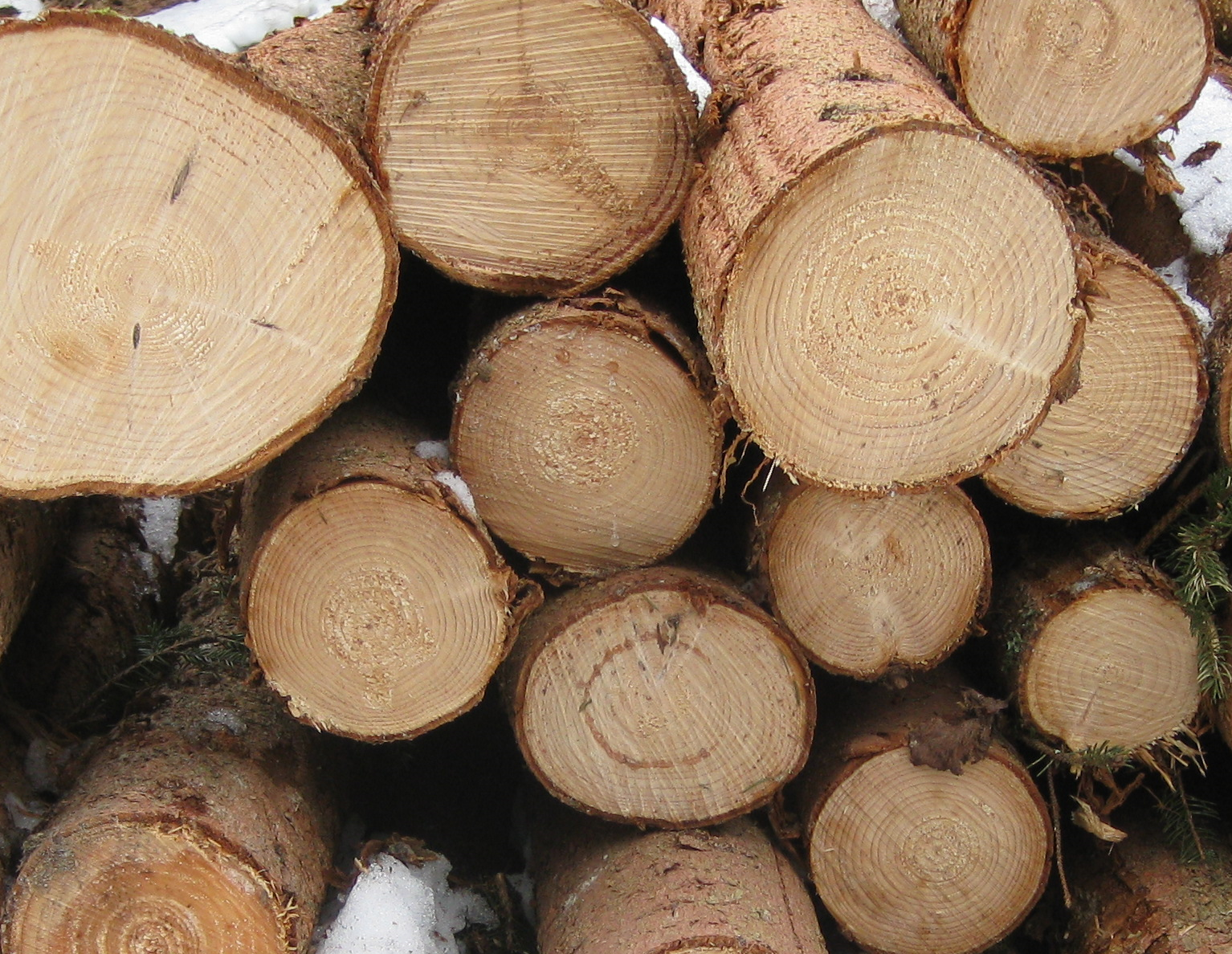 Klimaschutz durch Heizen mit Holz?