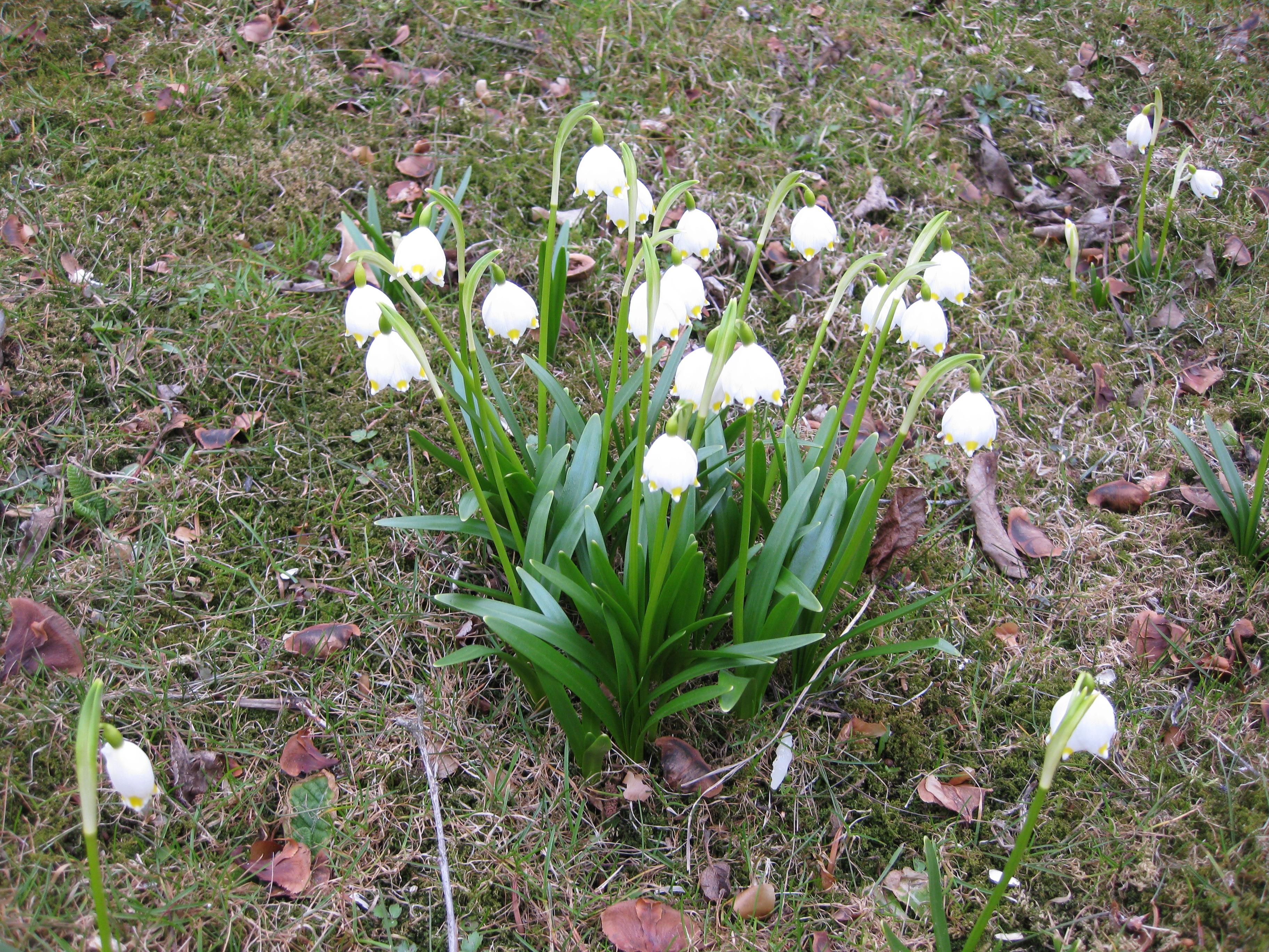 Nachhaltigkeit – mal konkret
