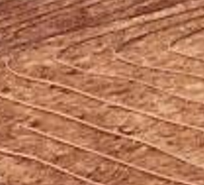 Aus der SV-Praxis: Das tragische Ende einer Wärmepumpenanlage